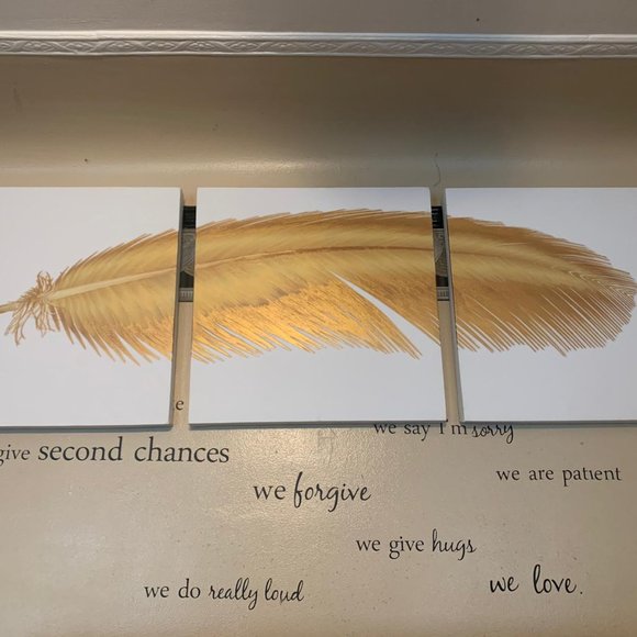 Golden Eagle Feather - Picture 1 of 7